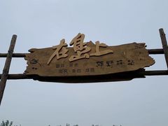 -西青郊野公园