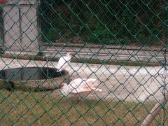 -下渚湖国家湿地公园科普馆