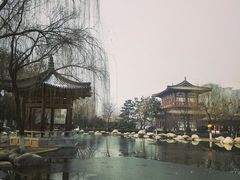 -西安青龙寺遗址景区