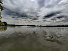 -海珠湖公园