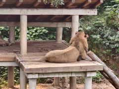 -石家庄市动物园