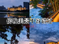 -月湖风景区