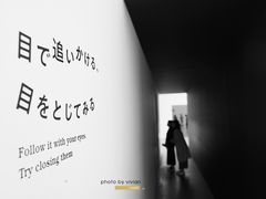 -金泽21世纪美术馆