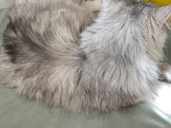 -平行世界·猫咖(首经贸店)