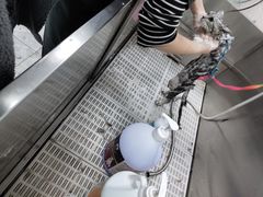 -优米宠物美容(体育场路店)