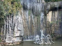 -西双版纳原始森林公园