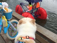 -太阳岛度假酒店