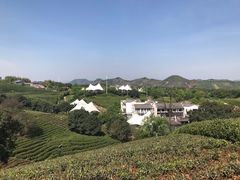 -帐篷客·溪龙茶谷度假酒店