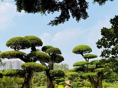 -南宁南湖公园