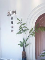 -皙塑美肤·spa