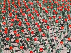 -长春公园(普阳街道)