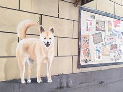 -秋水广场