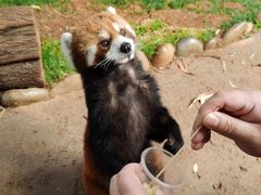 -云南野生动物园