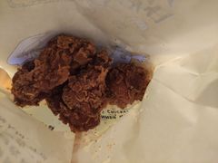 -吴家东少手撕烤鸭(绳金塔店)