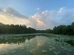 -东湖落雁景区