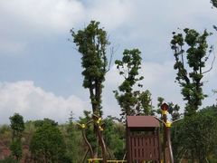 -枫香湖儿童公园