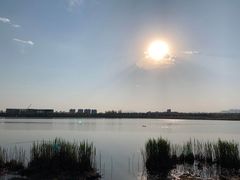 -绿堤公园