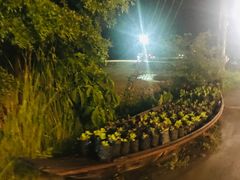 门面-Ohkajhu Organic Farm Sansai