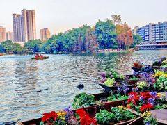 -荔湾湖公园