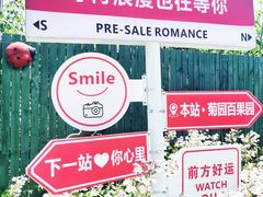 -菊园百果园