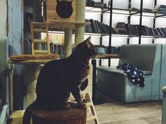 -小时光咖啡馆(开森度假森林店)
