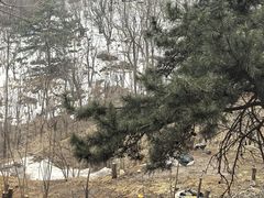 -妙峰山风景名胜区