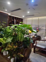 -至爱至信新中式SPA疗愈会所