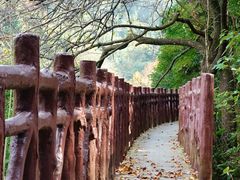 -广州市石门国家森林公园
