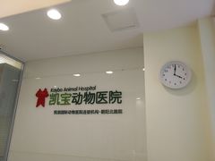 -悦宠凯宝动物医院·牙科·皮肤科(朝阳北路店)