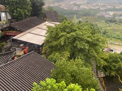 -巴倒烫陆派火锅山庄(南山总店)