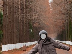 -黄海国家森林公园