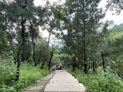 -北京十三陵国家森林公园蟒山景区