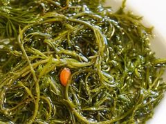 翡翠笋-红鼎坊·老成都火锅(新南门店)