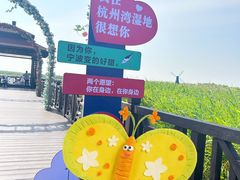 -宁波杭州湾国家湿地公园