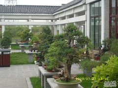 -郑州植物园