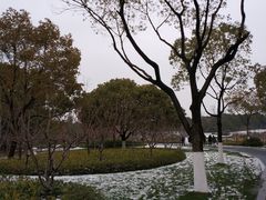 -昆山城市生态森林公园