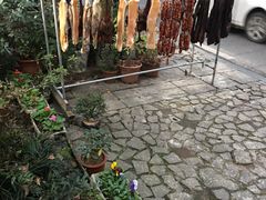 -国生茶庄·地道农家菜团建活动