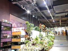-扶光书店(中环店)
