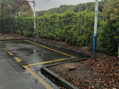 -安飞驰驾校·学车连锁(金高店)