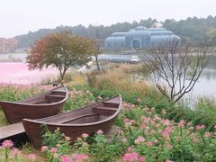 -大塘金香草谷