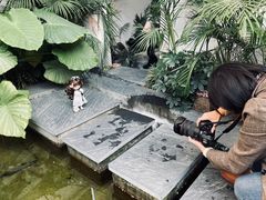 -漫笙舍Manse·咖啡·民宿