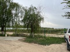 -亚心花海主题乐园