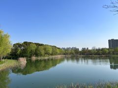 -昆山城市生态森林公园