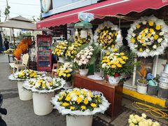 -循礼门鲜花花市(武汉循礼门店)