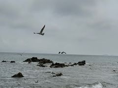 -银沙滩浴场