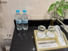 -良友富临大酒店(泉城广场大明湖店)