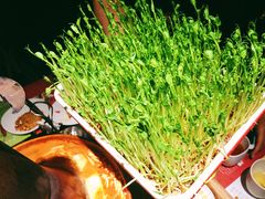 -番食园鲜食火锅(高新店)