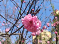 -清风小镇闯关东影视基地