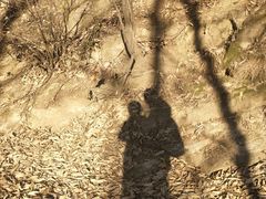 -终南山南五台景区