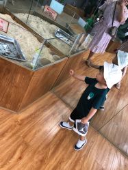 -未来动物城主题公园(正弘城店)